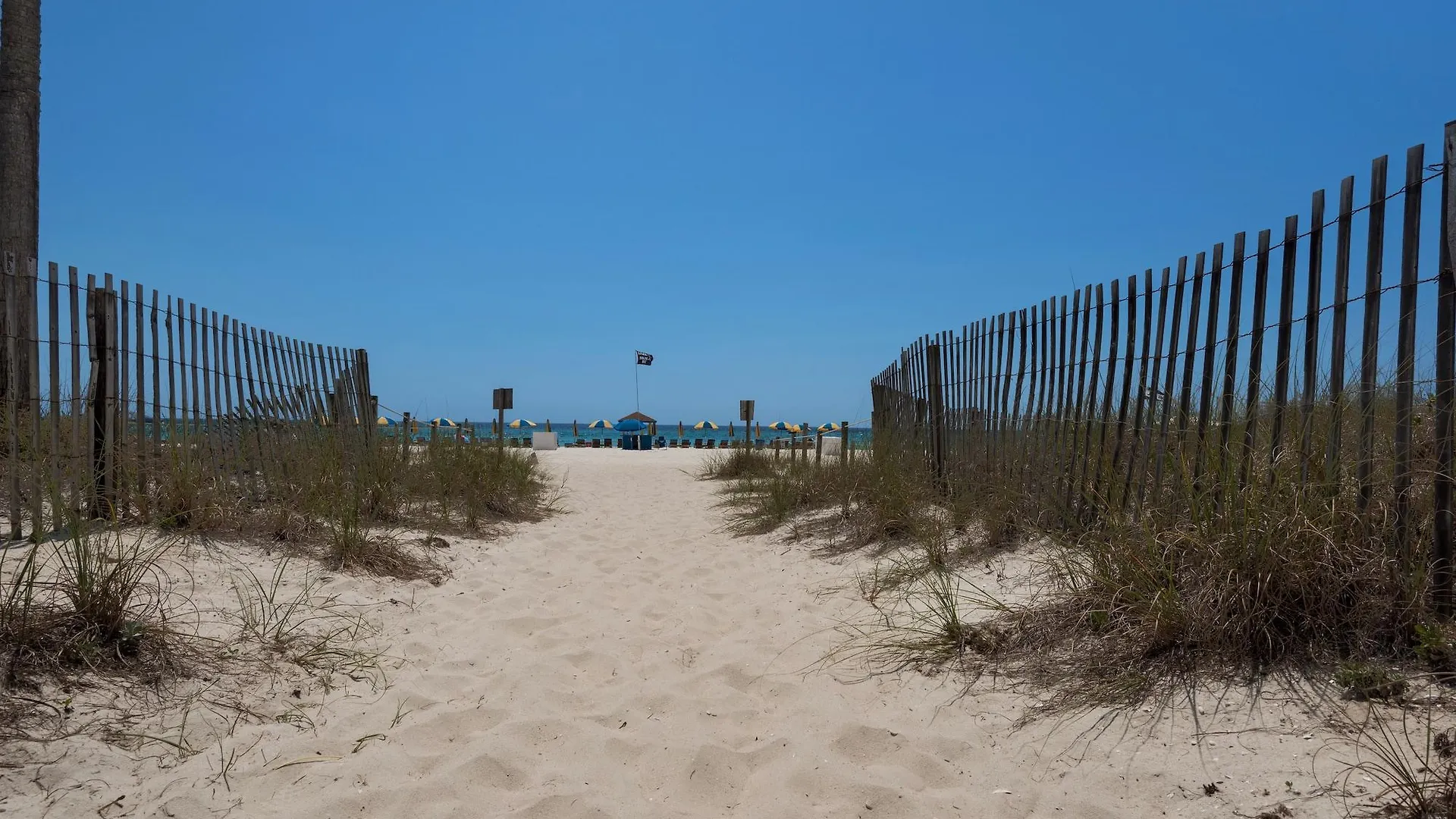 Beach Tower Beachfront Hotel, A By The Sea Resort Panama City Beach Hotel